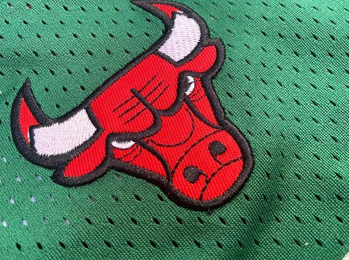 Men's Michael Jordan Green Retro Classic Team Jersey