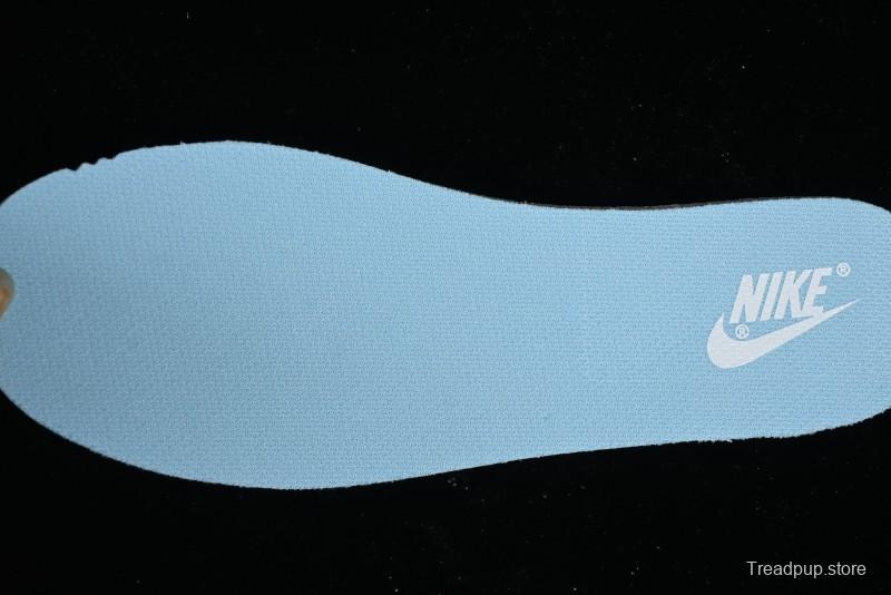 Nike Dunk Low Retro SB Casual Sneakers in Ice Blue Colorway - DV0833-104