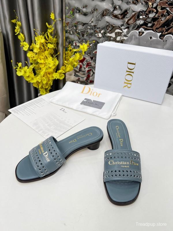 2025 Women Dior Blue Leather Slide Sandals LY00210