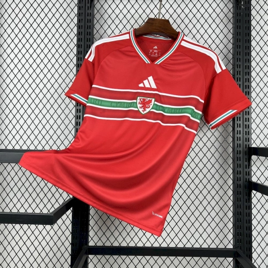 2026 Mens Wales World Cup Home Jersey
